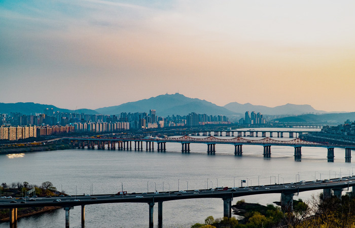 H.T.F Nexus Program 서비스